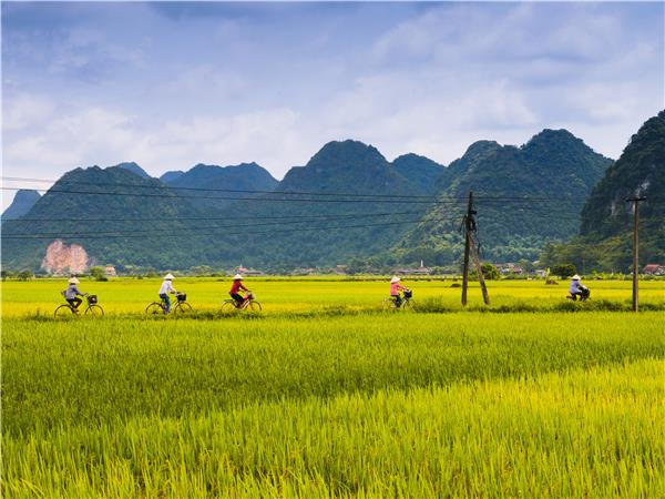 Vietnam small group cycling vacation