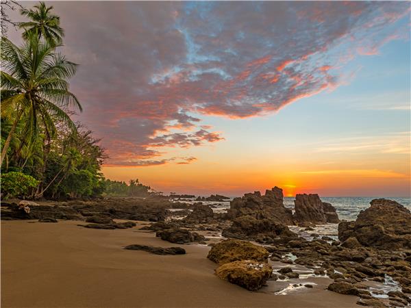 Costa Rica wildlife holiday, Coastal Secrets