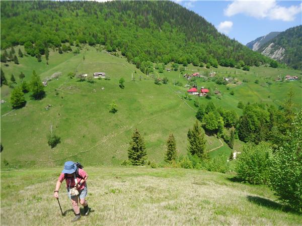 Carpathian Mountains conservation & culture vacation