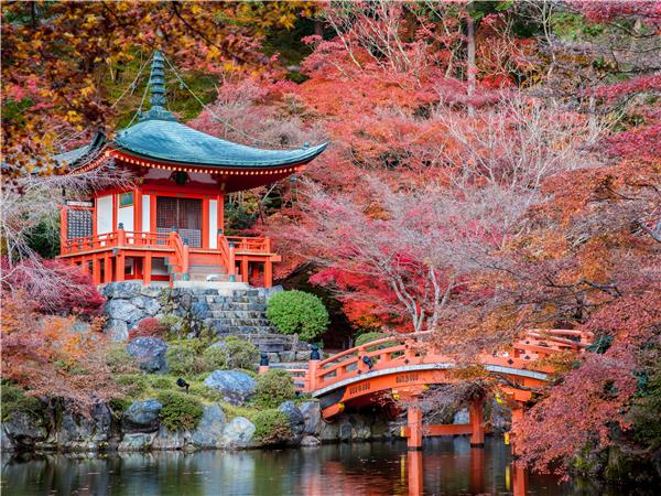 Japan vacation, ancient and modern