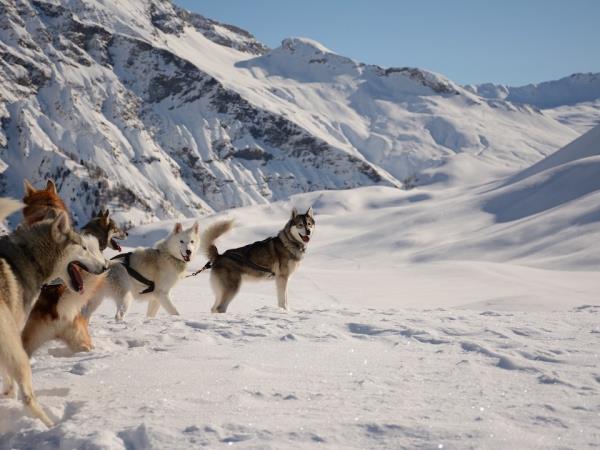 Winter activity vacation in the French Alps