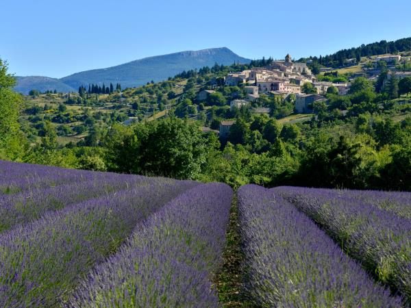 Upper Provence walking vacation in France